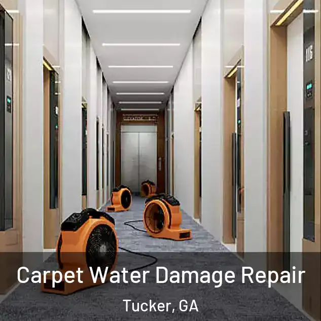  Carpet Water Damage Repair Tucker, GA