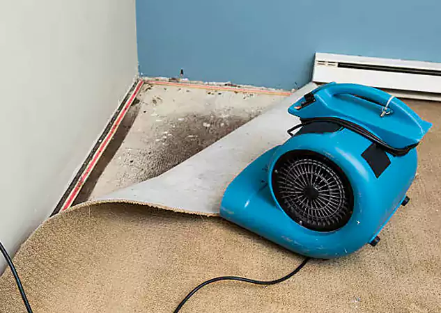 Your Water Damage Experts in Tucker, GA