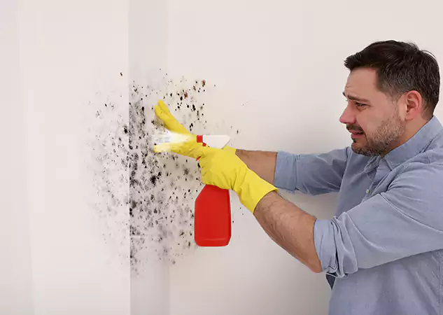 Your Water Mold Fire Restoration Partner in Tucker, GA