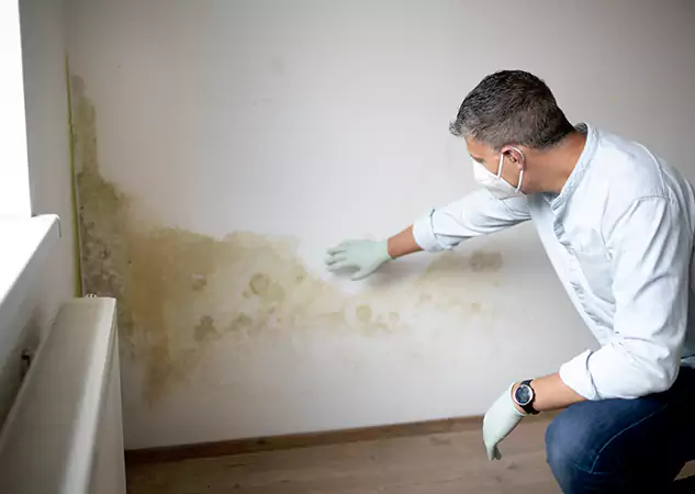 Reach Our Remediation Team Before Damage Grows in Tucker, GA!