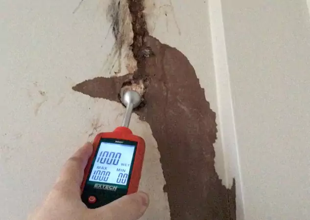Your Water Damage Assessment Partner in Tucker, GA