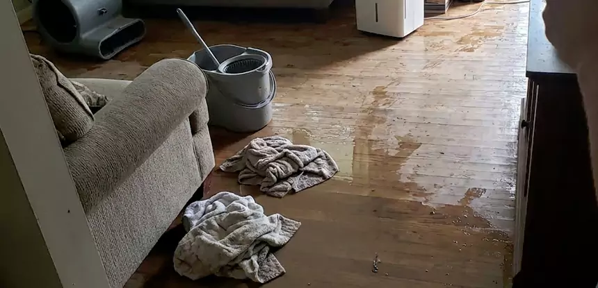 Professional Basement Water Remediation Services in Tucker, GA