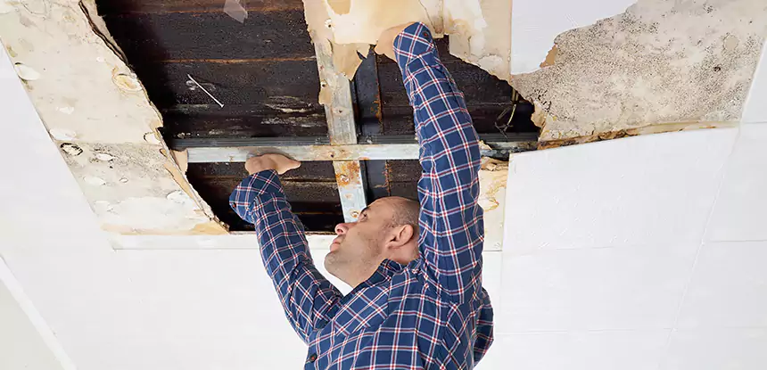 Attic Wood Rot Repair in Tucker