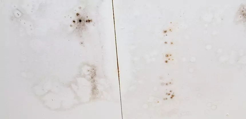 Professional Water Stain Repair Services in Tucker, GA