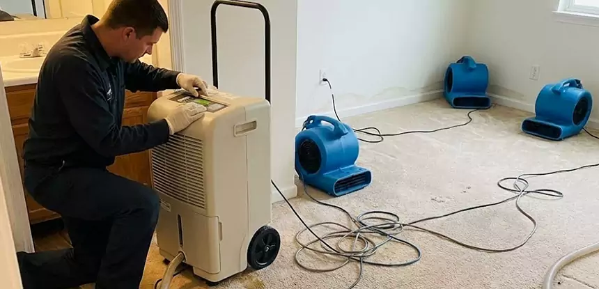Professional Wet Carpet Removal Services in Tucker, GA