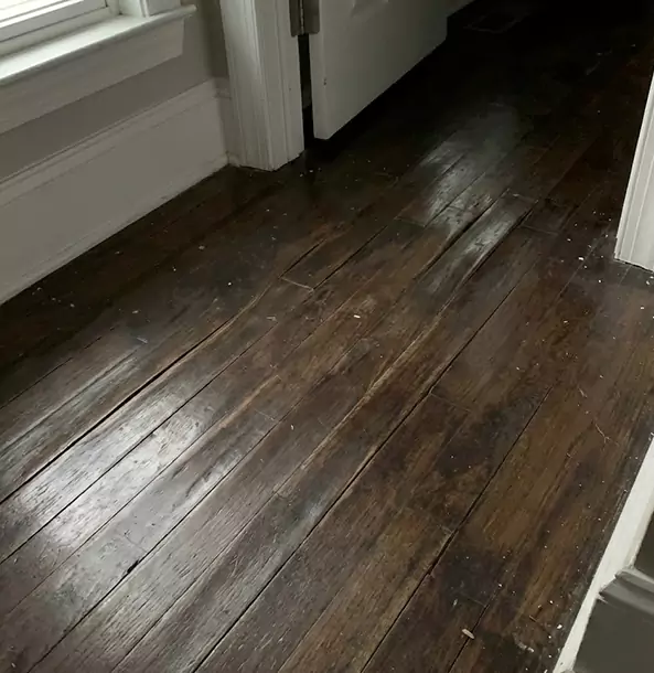 Why Tucker Homeowners Trust Tucker Restoration Pro to Fix Water Damaged Wood?