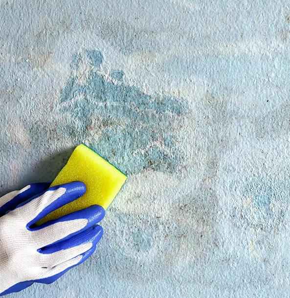Why Tucker Restoration Pro Is the Right Choice in Tucker, GA?