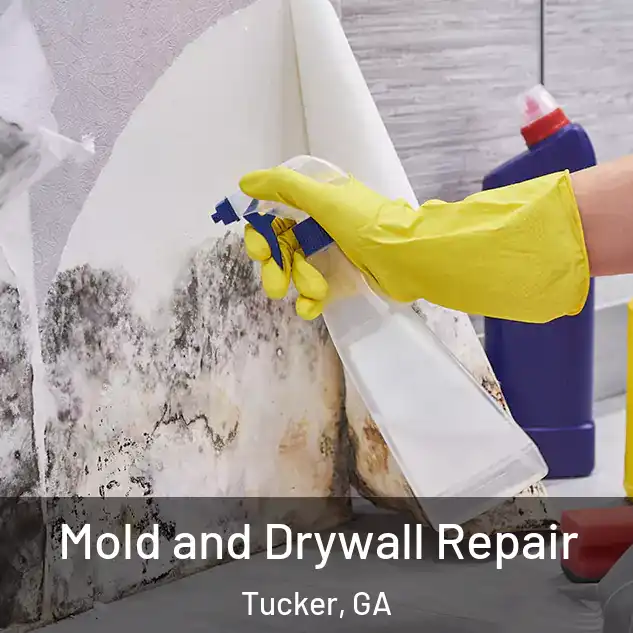  Mold and Drywall Repair Tucker, GA