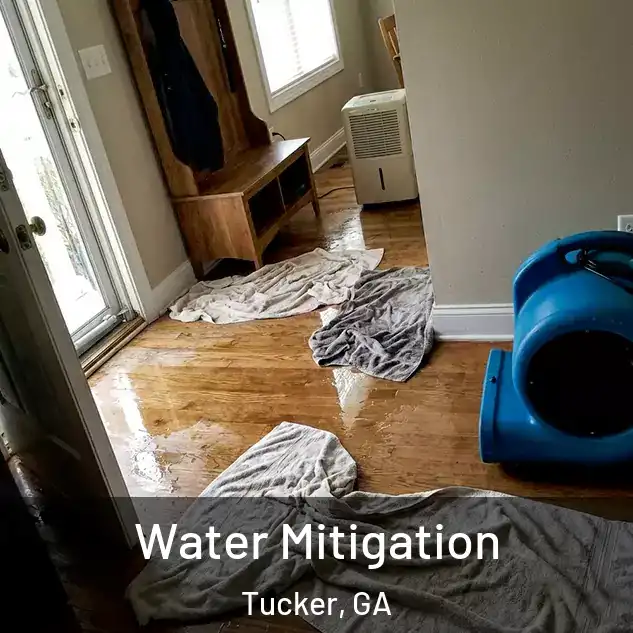  Water Mitigation Tucker, GA